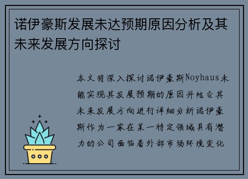 诺伊豪斯发展未达预期原因分析及其未来发展方向探讨 诺伊豪斯发展未达预期原因分析及其未来发展方向探讨